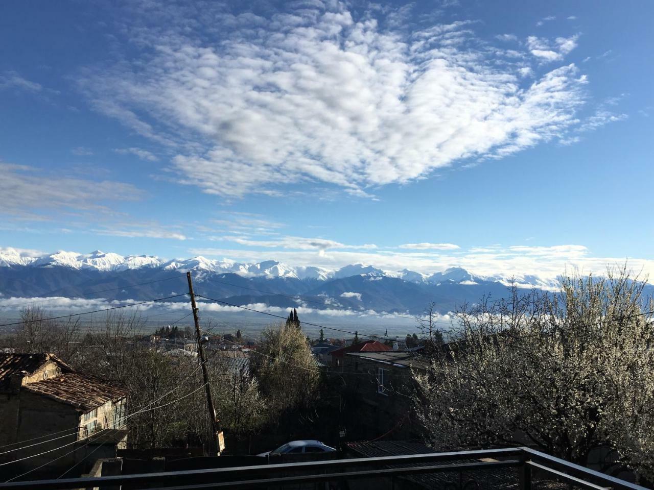 Lile Otel Telavi Dış mekan fotoğraf